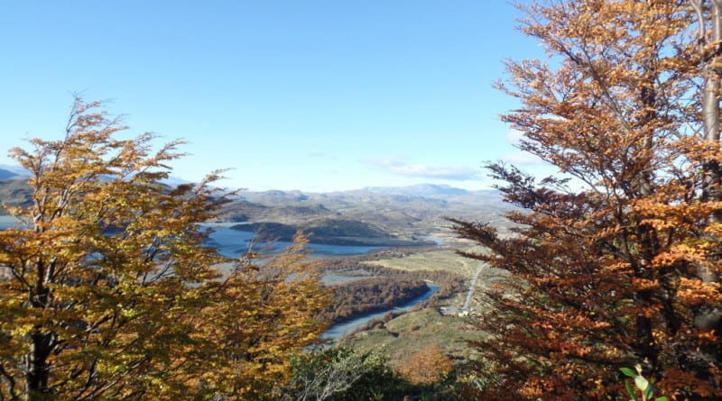 Vista Monte Ferrier em Torres del Paina, Patagonia Chilena 3