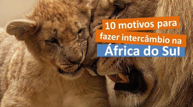 10 motivos porque fazer intercâmbio na África do Sul