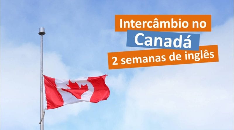 Quanto custa um intercâmbio no Canadá - 2 semana - Foto Pexels
