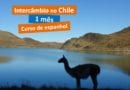 Quanto custa um intercâmbio de 1 mes no Chile