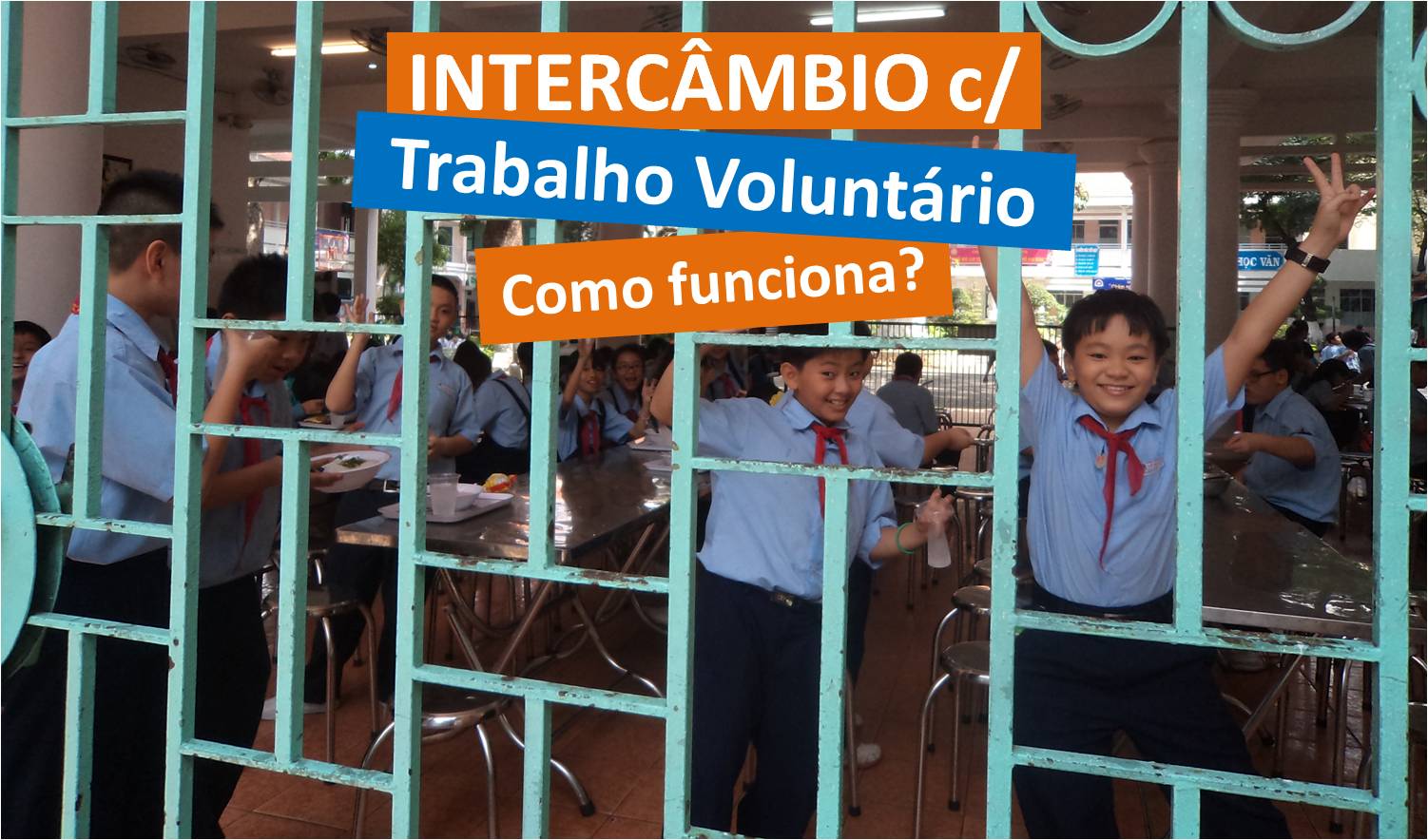 Intercâmbio com Trabalho Voluntário: Quanto custa? Como funciona ...