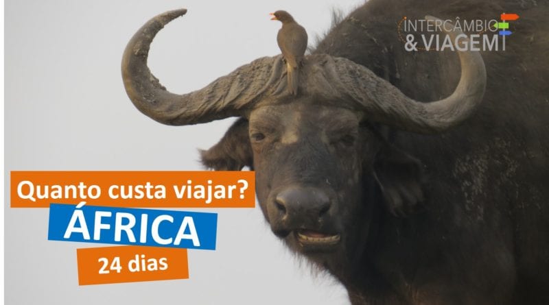 Quanto custa viajar para a África